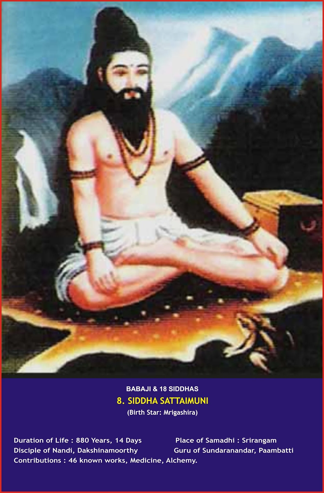 Compatibility Analysis Icon